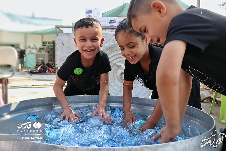 (تصاویر) بفرما «مای بارِدْ»